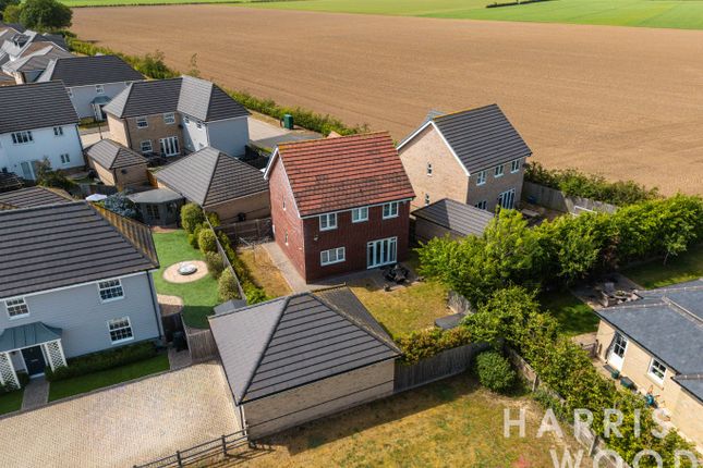 10 Newman Fields, Great Bentley, Essex photo 4