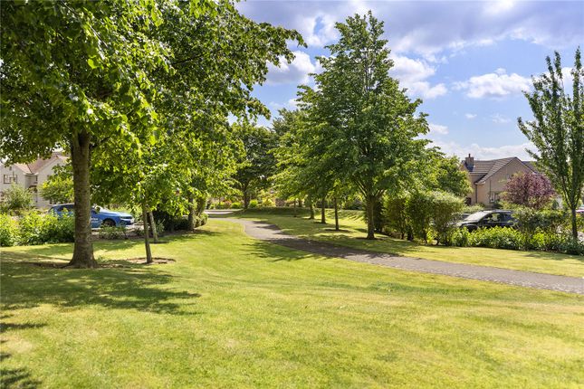 38, Alderston Gardens, East Lothian photo 4