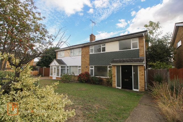 Thumbnail Semi-detached house to rent in Upland Drive, Colchester, Essex