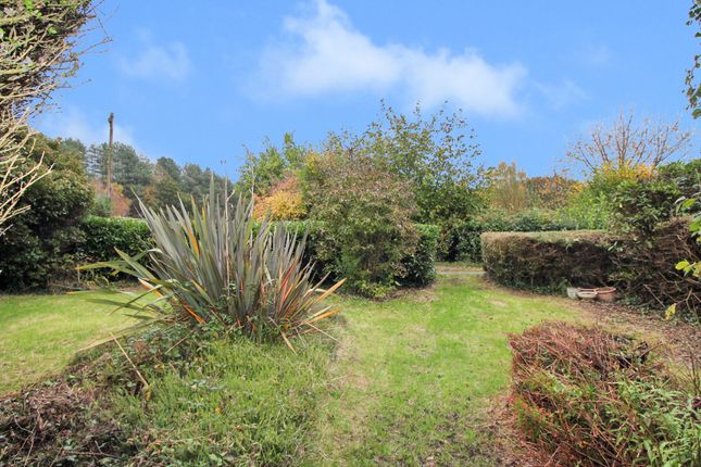 19 Hundred Acres Road, Wickham photo 2