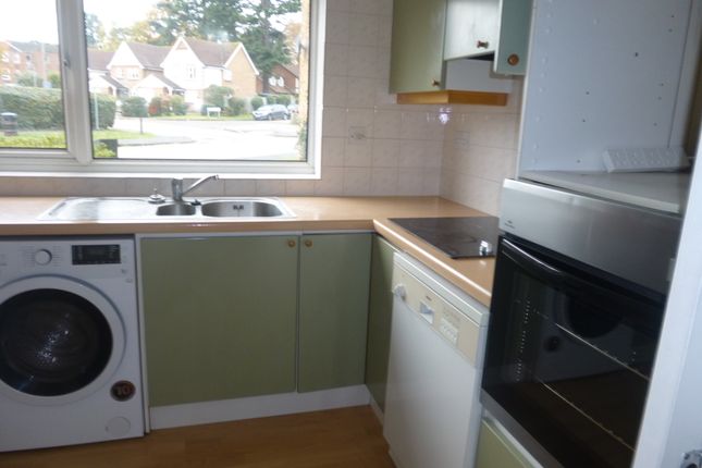 Lampits, Hoddesdon photo 4