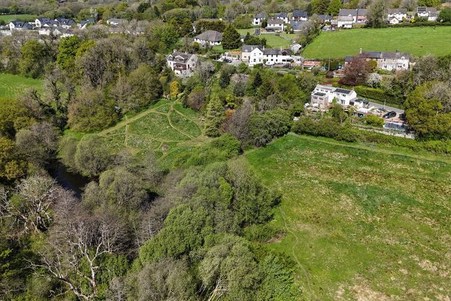 Llwynteg, Penrhiwllan, Llandysul photo 3