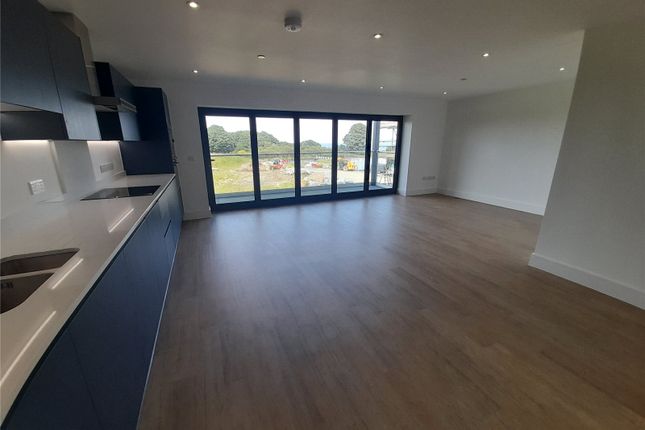 Kitchen/Living Area