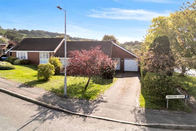 3-bed house on 12, Pinaster Close, Devon, £450,000