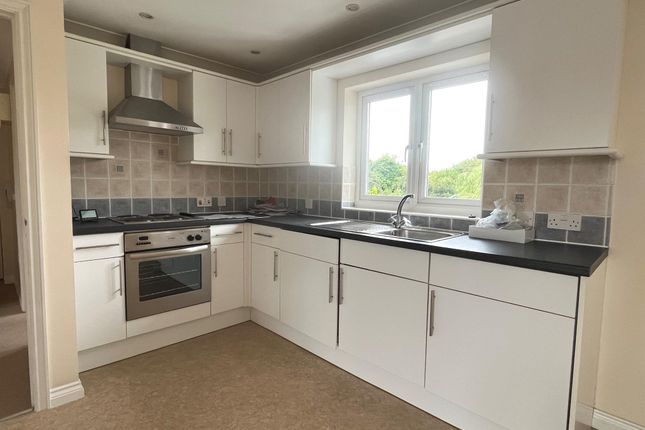 9, Lime Tree Place, Ipswich photo 4