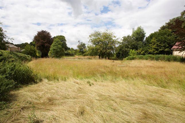 Site