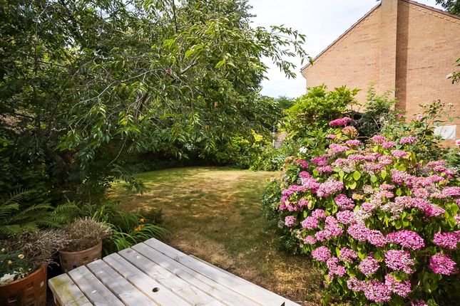 1 Oakfield, Oakham photo 4