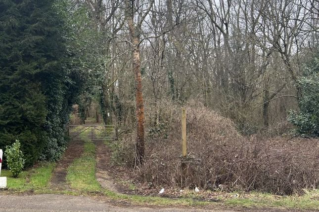 Land for sale in Grafham, Bramley, Guildford