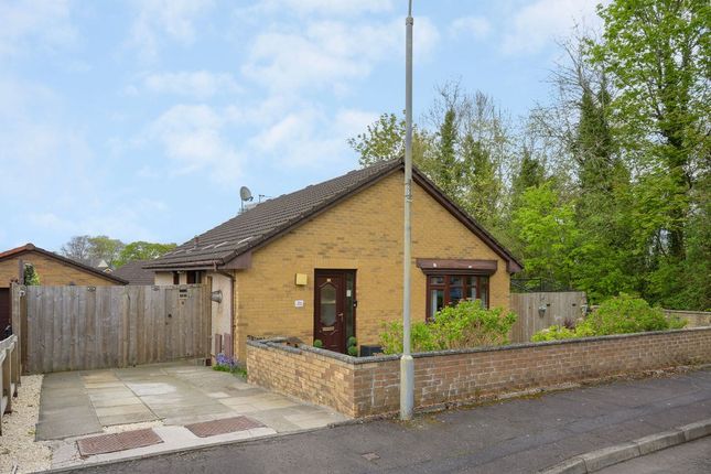 Thumbnail Bungalow for sale in Summerford Gardens, Falkirk