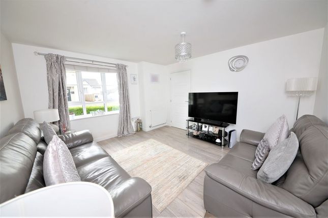 8, Kingfisher Avenue, Alexandria photo 3