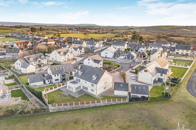 Aerial Images
