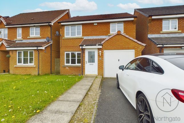 Thumbnail Detached house for sale in Lapwing Court, Haswell