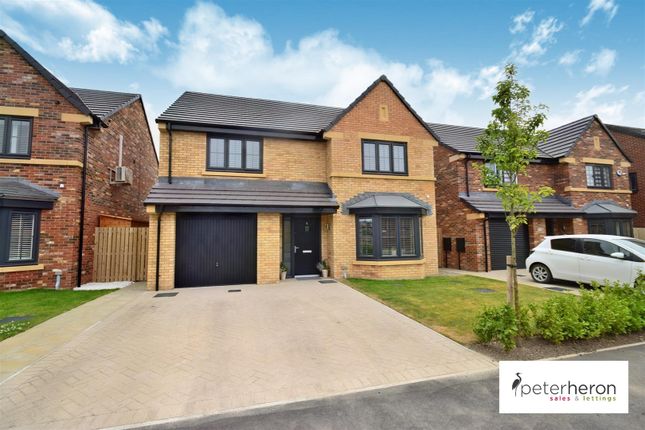 Thumbnail Detached house for sale in Redmill Close, South Bents, Sunderland