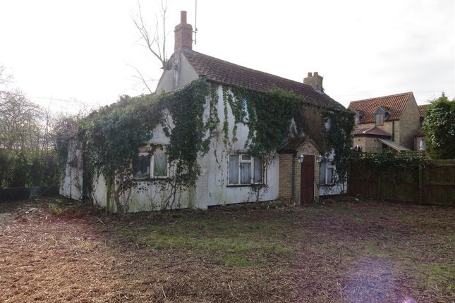 Sonwin, Ely Road, DOWNHAM MARKET photo 3