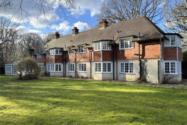 The Property
