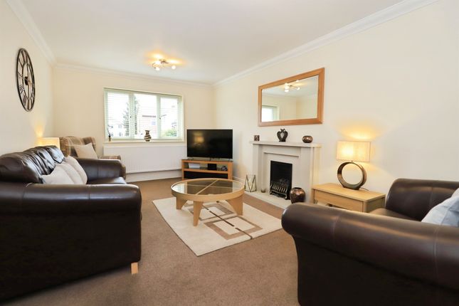 2, The Paddock, Stourport-On-Severn photo 2