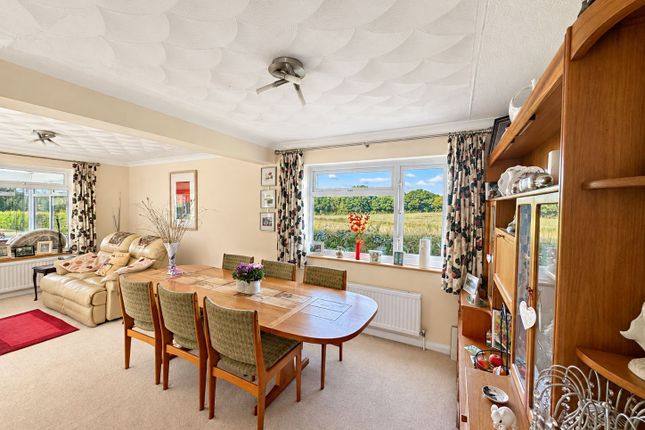 Staplehurst photo 4