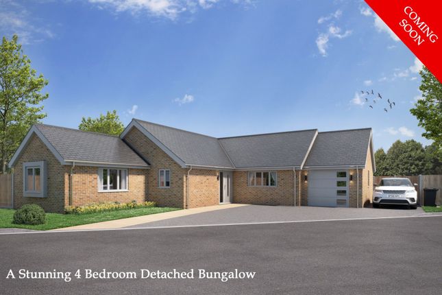 Thumbnail Detached bungalow for sale in Hill View Terrace, Mill Lane, Woodbridge