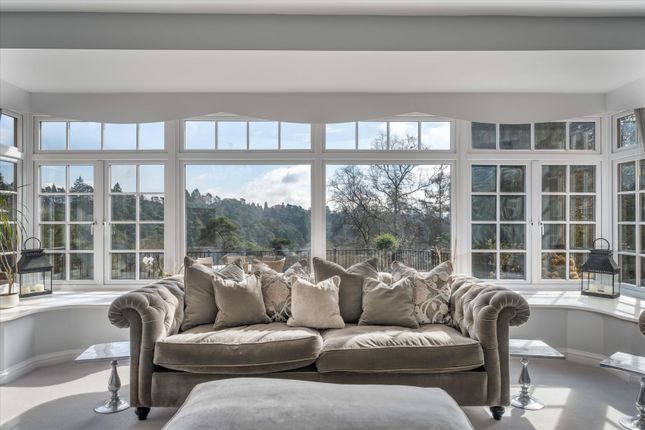 Hazel Grove, Hindhead photo 4