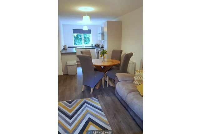 Kitchen / Living Area