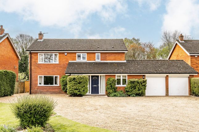 Detached house for sale in High Green, Brooke, Norwich, Norfolk