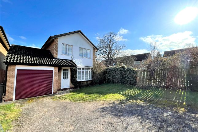 Thumbnail Detached house to rent in Chelmer Close, Bedford