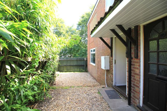 Thumbnail Property to rent in Hotblack Road, Norwich