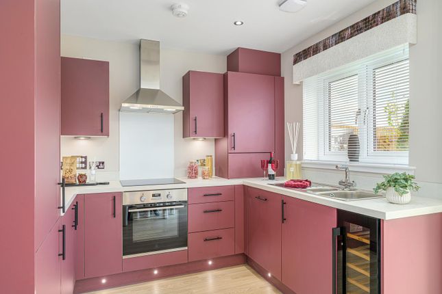 Plot 37, The Spey, 39, Duntarvie Castle Road, Winchburgh photo 4