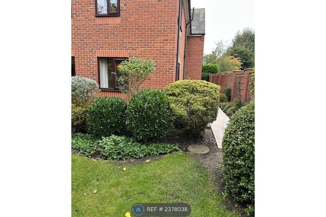 Short Walk Thryu Garden To Patio Door