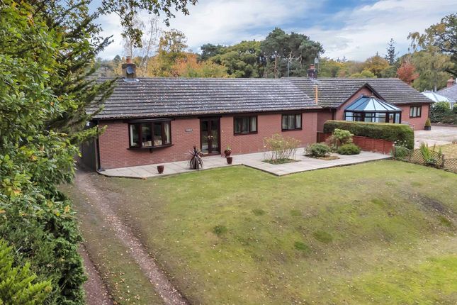 Thumbnail Detached bungalow for sale in Knockin Heath, Oswestry