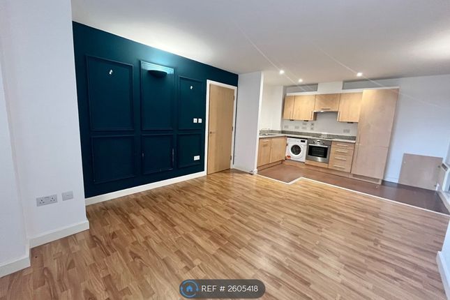 Kitchen / Living Area