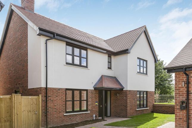 The Wainwright, Number 9