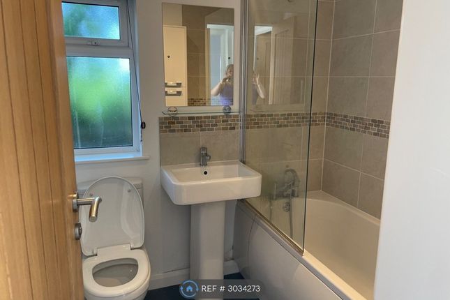 Moorland Views Lodges, Ogwell, Newton Abbot photo 4