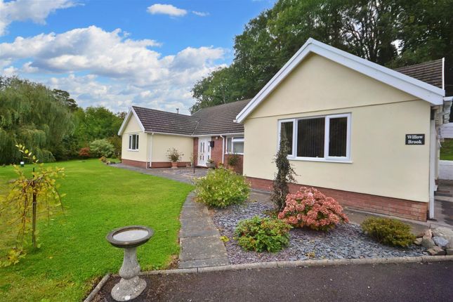 Thumbnail Detached bungalow for sale in Broadlay, Ferryside