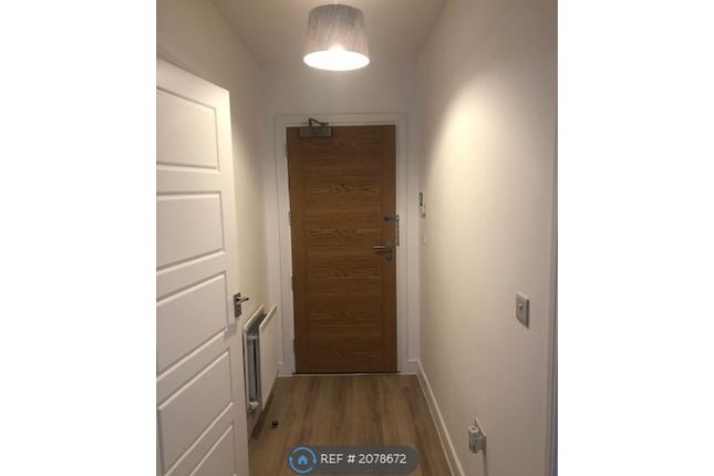 Thumbnail Flat to rent in Rushey Meadows Court, Maidstone