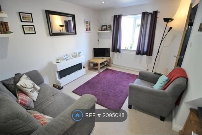 Thumbnail Terraced house to rent in Nicholas Road, Beeston, Nottingham