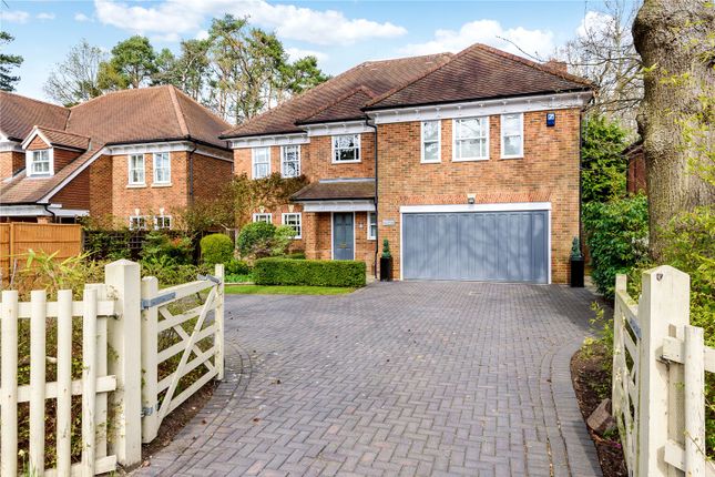 Thumbnail Detached house to rent in Rise Road, Ascot, Berkshire