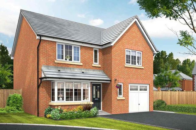 Thumbnail Detached house for sale in "The Shakespeare - The Paddocks" at Harvester Drive, Cottam, Preston