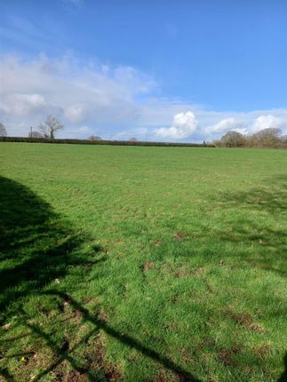 Farm for sale in Lot 1 And 2, Newton St. Margarets, Hereford