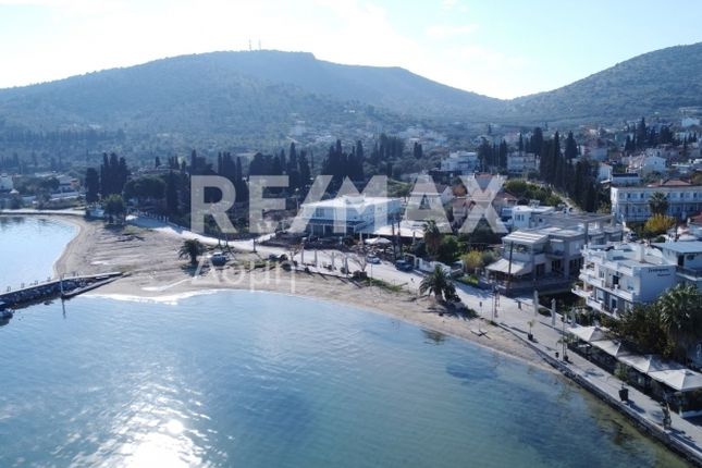 Land for sale in Nees Pagases, Magnesia, Greece