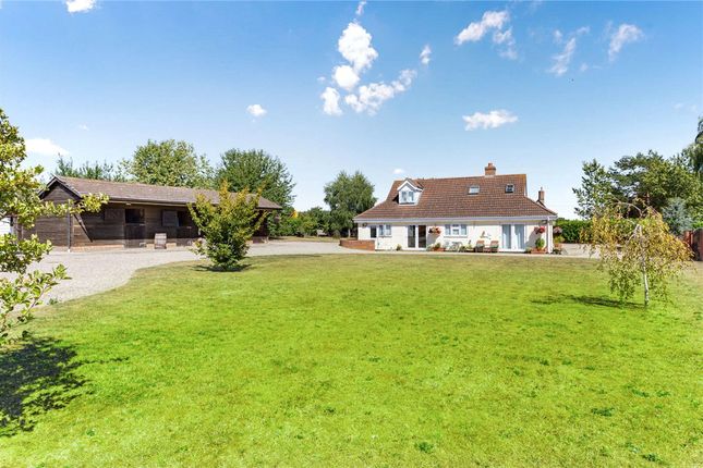 Thumbnail Detached house for sale in Stoke Road, Clare, Sudbury, Suffolk