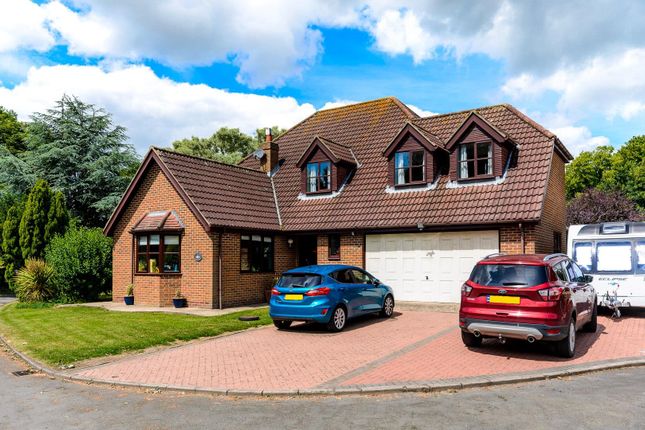 Thumbnail Detached house for sale in Orchard Close, Roos, Hull