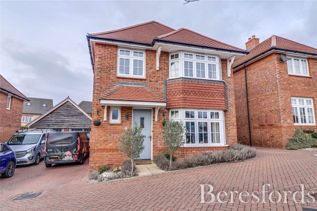 Thumbnail Detached house for sale in Osier Place, Braintree
