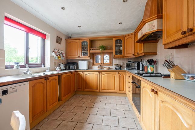 41 Cromer Road, Norwich photo 4