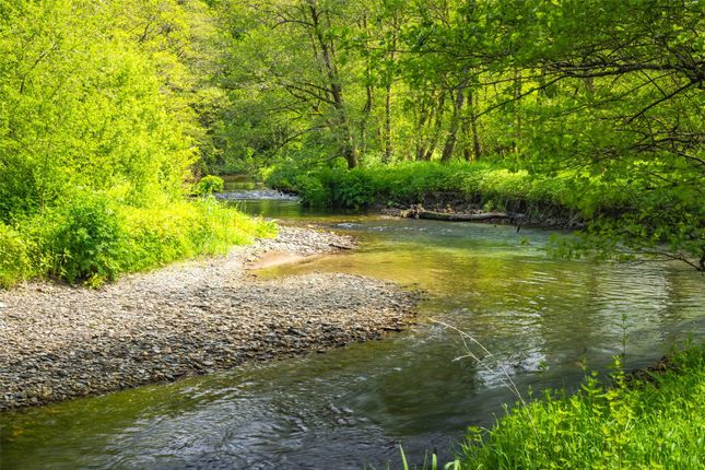 River Cych