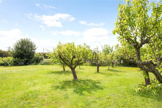 Detached house for sale in The Green, West Peckham, Maidstone, Kent