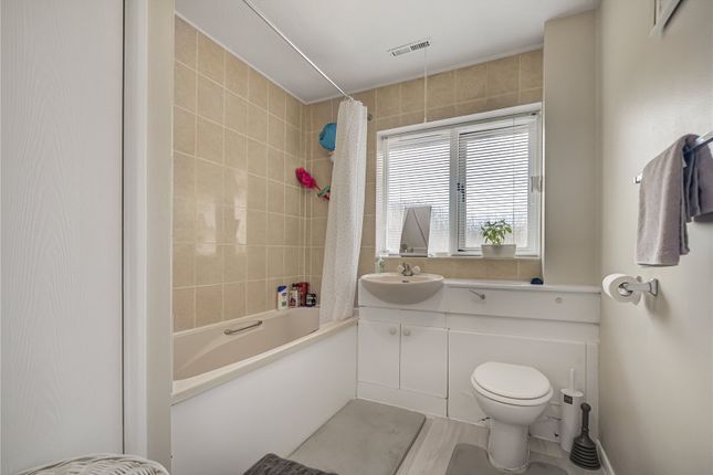 12, Mills Grove, London photo 4