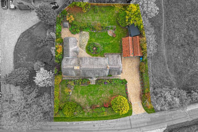 Abbey Cottage, Milton Keynes photo 3