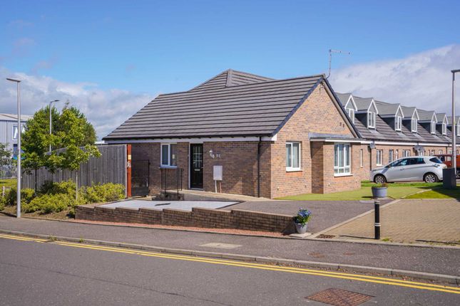 Thumbnail Bungalow for sale in Rootes Place, Paisley