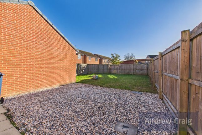 Hebburn photo 4
